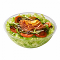 Chicken slice Salad